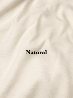 Ladies - Coastal Seashell Tee  | Loulous and Stitch